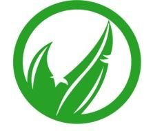 green sign drawing
