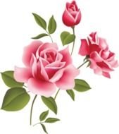 Flower Rose Pink Three Free Images At Clkercom Vector