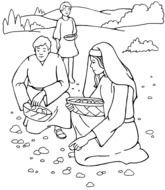 Moses Said To Them It Is The Bread That Thelord Has Given You Eat