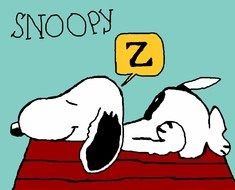 painted sleeping Snoopy