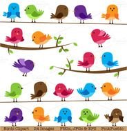 Cute Birds And Vectors Illustrations On Creative Market