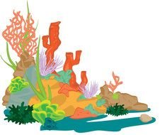 colorful Sea Plants on rock, drawing