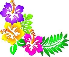 Flowers Photos &amp;187 Hawaii Free