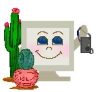 drawing of cacti near the monitor