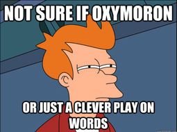 Oxymoron Dictionary Definition Defined &ndash; Search Results