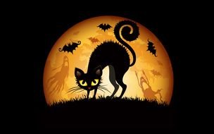 Clipart of Halloween Cat and bats