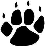 Bear Paw Prints The Tattoo Designs