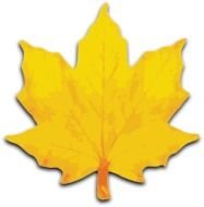 Orange Maple Leaf