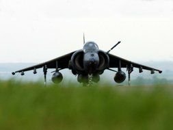 plane flies over green grass