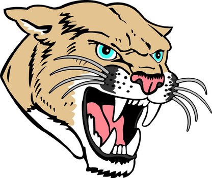 Cougar Head 2jpg