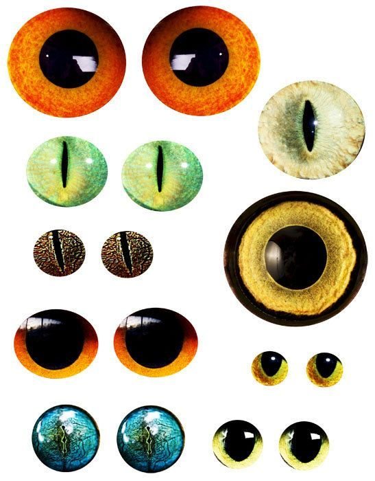 Cat Eyes N5