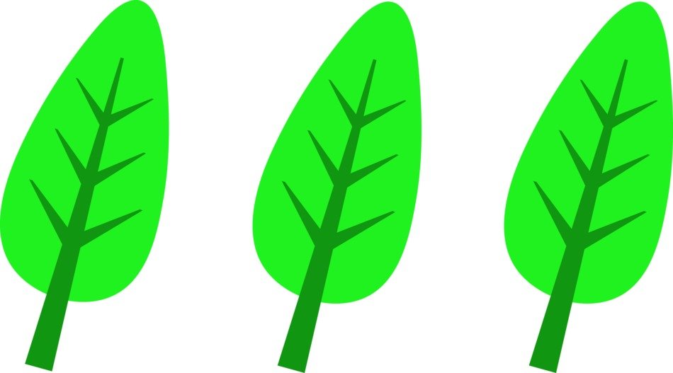 Leaves Logo drawing