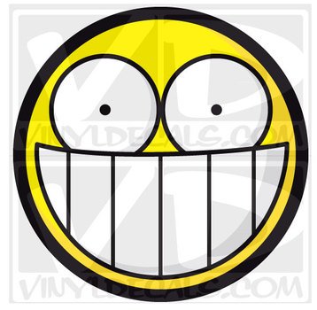 Big Stupid Smiley Face Giant