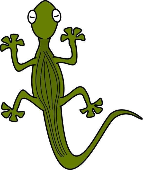 Cartoon Lizard as picture