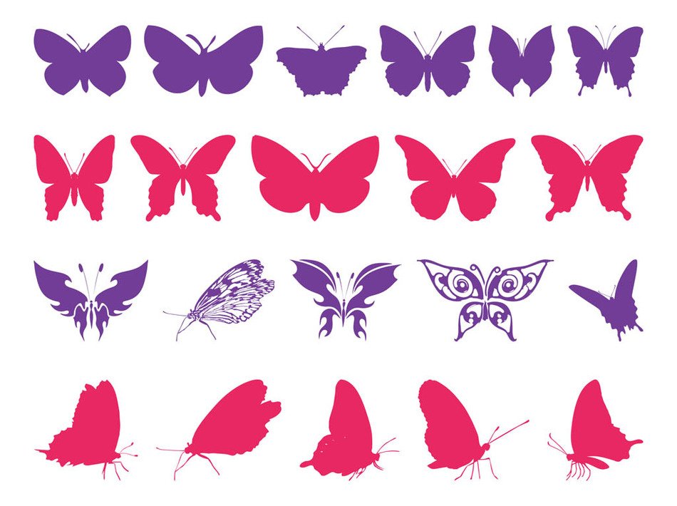 painted purple and pink butterflies