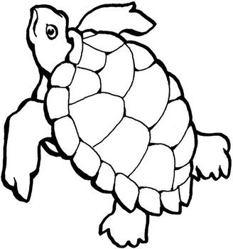 Coloring Page Activity Sheet Download Or Print Setup For Full N2