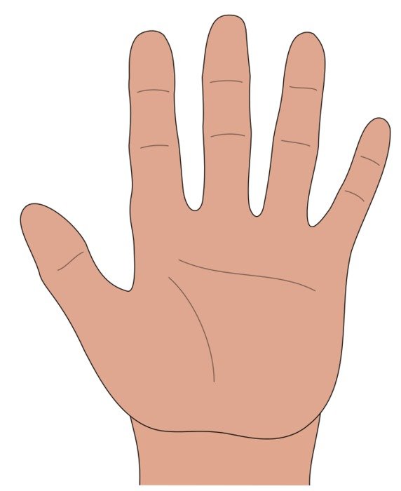 Grabbing Hand drawing