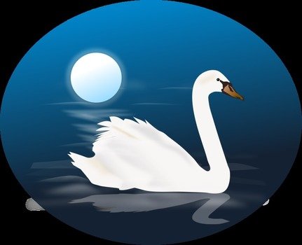 Swan On Your Personal Or Commercial Projects As This Clip