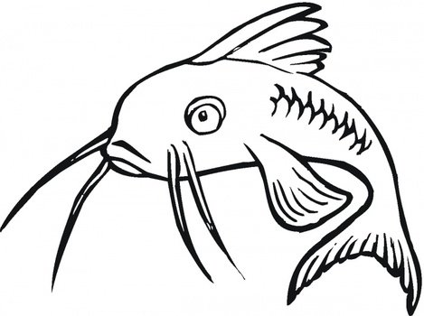 11 Drawings Of Catfish Frees That You Can Download To