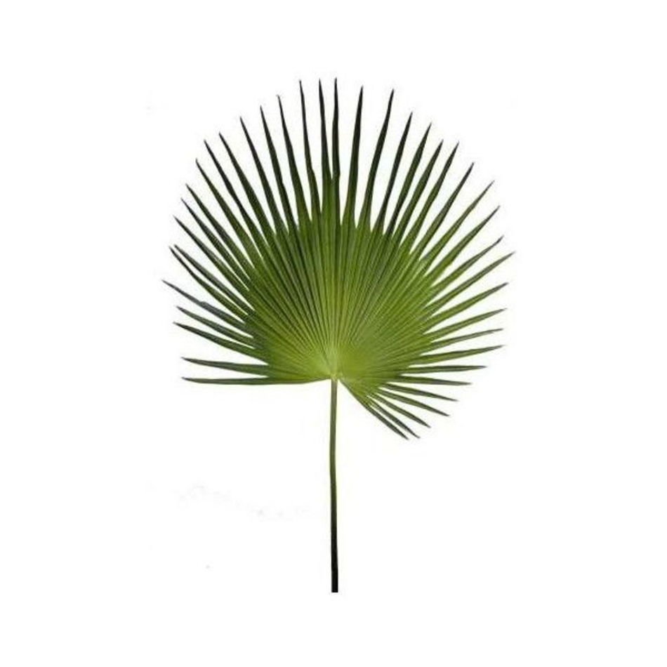 Artificial Palm Tree Leaves Home Improvement Gallery