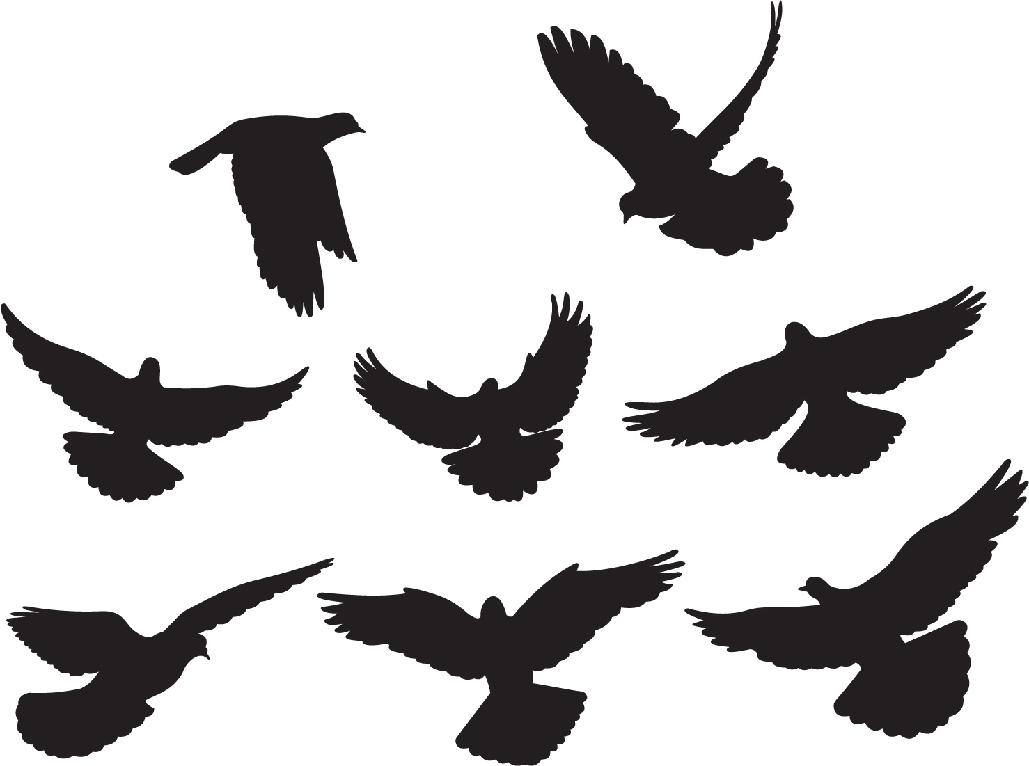 Black And White birds drawing free image download