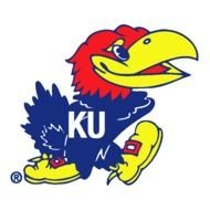 University Of Kansas drawing