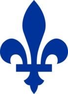 blue fleur de lis on a white background