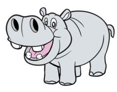 Hippo Head This