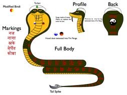 snake in detail for clipart