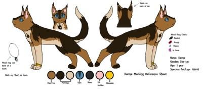 Cat Human Hybrid Drawing