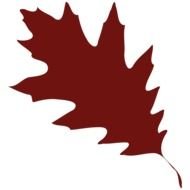 Autumn Oak Leaf, brown Silhouette