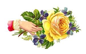 bouquet of beautiful flowers in hand for clipart