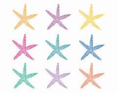 starfish of different colors on a transparent background