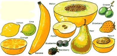 variety of fruits for clipart