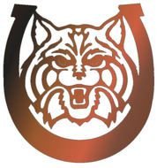 Arizona Wildcat Wall Signs