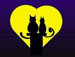 Moon cats drawing