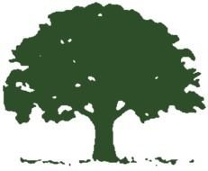 painted green tree on a black background
