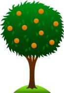green tree with orange fruits