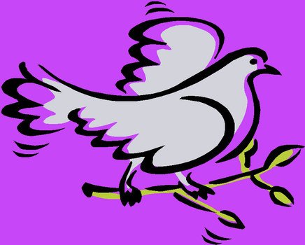 dove on a branch as a graphic illustration