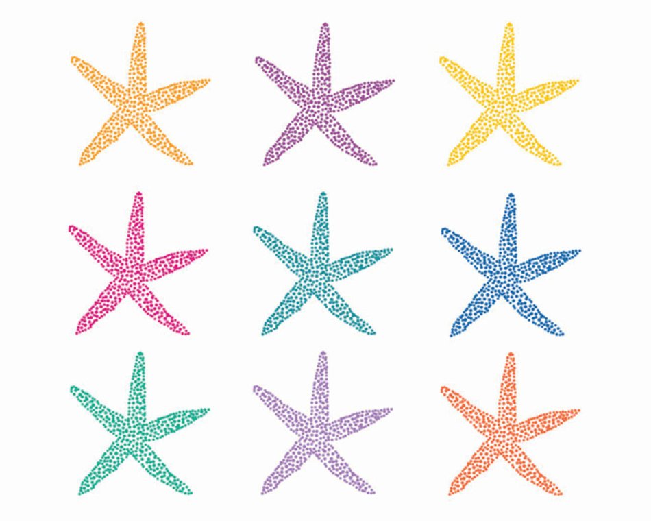 starfish of different colors on a transparent background