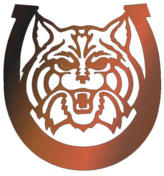 Arizona Wildcat Wall Signs