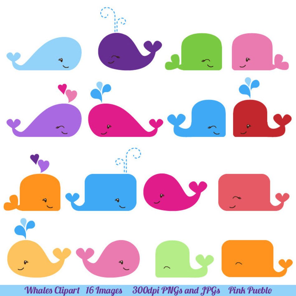 Whale Commercial And Personal By Pinkpueblo clipart