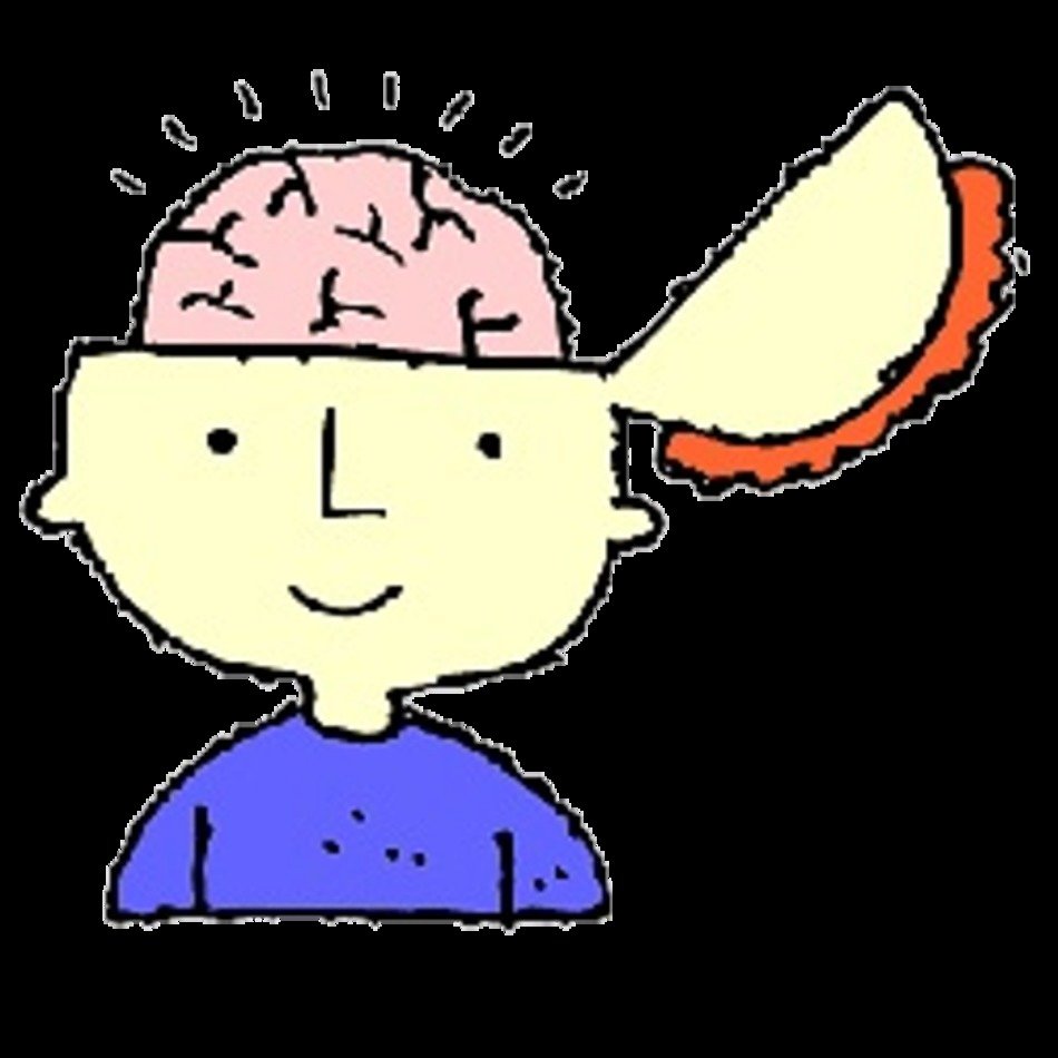 Fun Brain Games Panda Free Images