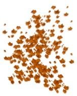 photo of brown sawdust