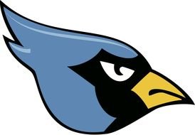 Clip art of the Blue Jay Logo