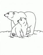 Polar Bears Coloring Pages drawing