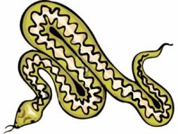 Snake Animasi drawing
