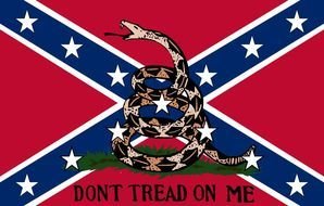 snake on the flag