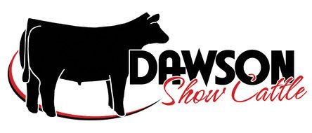 dawson show cattle drawing