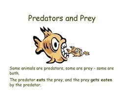 Predators And Prey Some Animals drawing